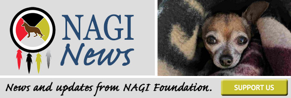 NAGI News – August 2018