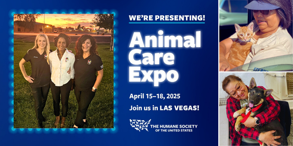 AnimalExpoBannerMobile